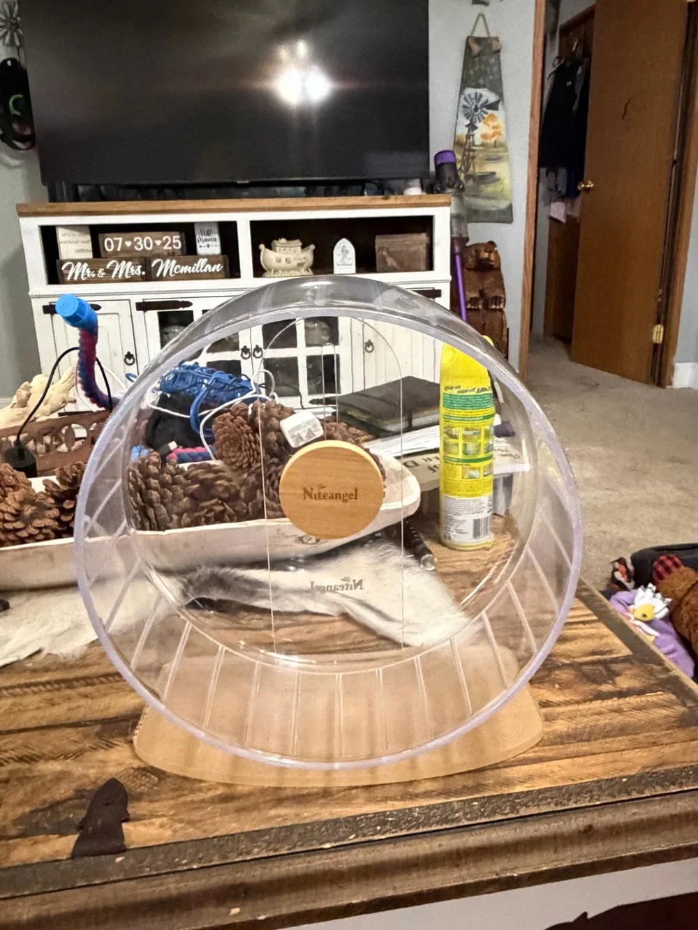 Niteangel Clear Exercise Wheel for Small Pets - Transparent